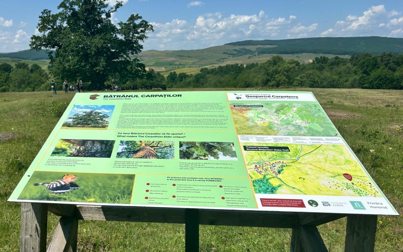 Asociatia Carpaterra