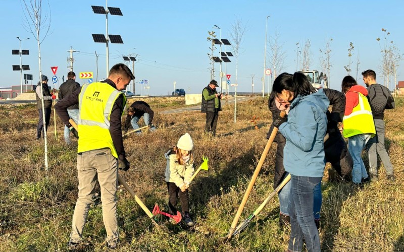 Rădăcini pentru Viitor: Plantăm pentru un Mediu Sănătos
